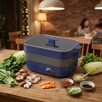 Prix usine 5L multifonctionnel en verre trempé marmite antiadhésive carré cuisinière électrique économiseur d'énergie pour la maison hôtel RV