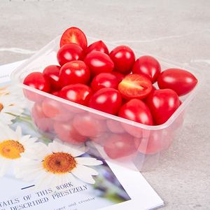 Contenitore per Alimenti da Asporto in Plastica Usa e Getta da 1000ml con Coperchio, Personalizzabile, Adatto al Microonde - Product Image 6