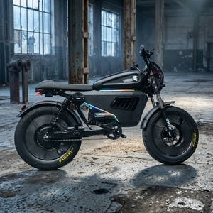 Professional Bike 3000w/1500w Torque 115nm Range 100km Heavy Duty Offroad Motorcycle for Sale Sk-1 Ultra Performance - Product Image 1
