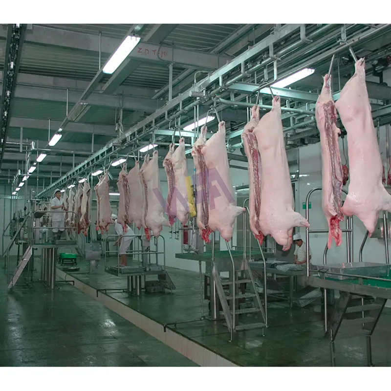 Matadero de cerdos completo personalizado, 50 - 100 por hora, máquina de sacrificio de cerdos, maquinaria de procesamiento de carne de cerdo