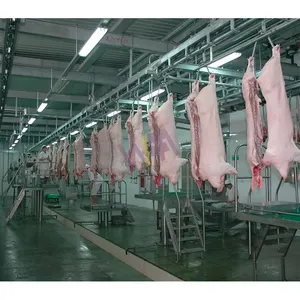 Suporte personalizar matadouro completo de porcos 50 - 100 por hora Máquina de abate de porcos Máquinas de processamento de carne de porco