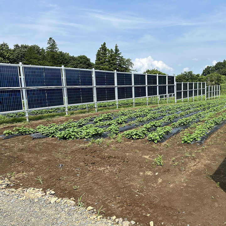 Solar Farm Panel Structure System Stand Steel or Al6005-T5 Bifacial Vertical Solar Panel Fence