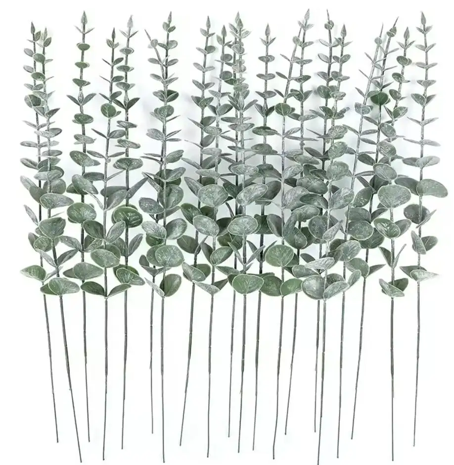 2024 Feuilles d'eucalyptus Offre Spéciale Tiges d'eucalyptus séchées Bouquets vert vif 58cm décorés de feuilles d'eucalyptus conservées