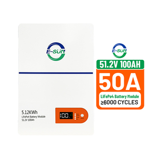 E-Sun 51,2V 5kW LiFePO4-Akkupack 100Ah Smart Bluetooth Solarbatterie für Heim-USV Energiespeicherung - Product Image 1