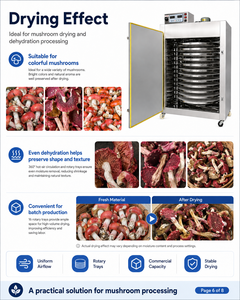 Máquina Comercial de Secado Rotatorio por Aire Caliente, Deshidratador de Alimentos de 16 Bandejas para Frutas, Carnes, Verduras y Hierbas - Product Image 2