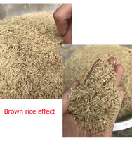 Décortiqueur et broyeur de riz combinés 200 kg/h Machine familiale Usine de traitement de riz brun et blanc Mini épluchage de paddy à usage domestique