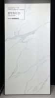 Dalles murales grand format étanches pour extérieur 1200x2400mm, en pierre frittée mate, blanc Calacatta, pour escalier de villa