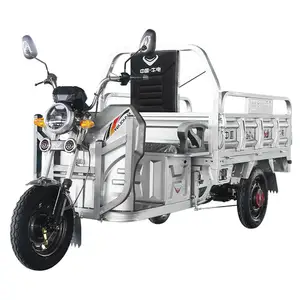 800W 48/60V電動三輪車オートバイ新モデル配送車3輪で高品質