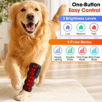 Ceinture de thérapie par lumière rouge pour chiens 660nm 850nm LED, enveloppement pour pattes d'animaux, chevaux, genoux, sans fil, rechargeable, coussin personnalisé pour soulager la douleur