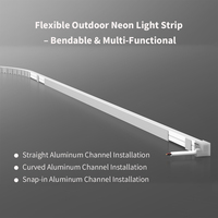 Lampu Strip Neon Luar Ruangan untuk Taman Halaman Patio IP66 Tahan Air Fleksibel Panjang Sesuai Pesanan Putih Hangat/Netral/Dingin