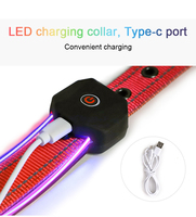Conception personnalisée Collier de chien à lumière LED Rechargeable USB Sécurité nocturne Clignotant Lueur dans le noir Collier de chien à lumière