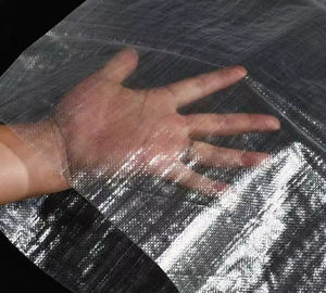 Sac tissé en polypropylène raphia transparent de 25 kg et 50 kg pour la farine et les aliments pour animaux - Product Image 2