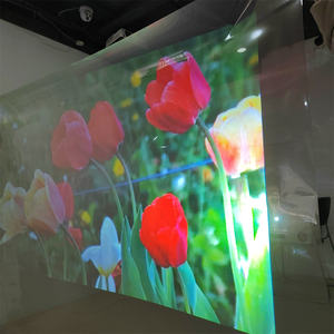 <span class=keywords><strong>Film</strong></span> de projection arrière pour tout lieu de vitrine commerciale - Product Image 6