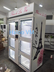 Haloo Vending <strong>Machine</strong> <strong>Supplier</strong> Mquina Expendedoras Hielo Florist Dispenser Self Service Automatic Fresh Flower Vending <strong>Machine</strong>