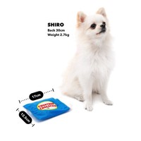 Jouet à mâcher en peluche en forme de biscuit, sonore, qui couine pour chiot, jeu interactif pour animaux de compagnie