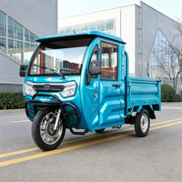 Elektrikli Motosiklet Elektrikli Scooter Tarzı 3 Tekerlekli Elektrikli Kargo Üç Tekerlekli Bisiklet Kapalı Kabinli EEC COC Sertifikalı 2000W