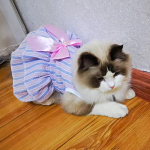 Chat chiot princesse robe été vêtements pour animaux de compagnie rayé robes à carreaux avec nœud pour chats chaton lapin <span class=keywords><strong>Sphynx</strong></span> vêtements ropa para gato - Product Image 5