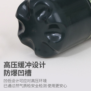 Bouteille de propane Wild Deer 450g, gaz portable pour camping en extérieur, combustible pour réchauds d'altitude - Product Image 5