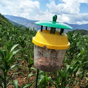 Wholesale Price Reusable Agricultural Pest Trap Easy Assembly Pheromone Lure <b>Holder</b> for Integrated Pest Management - Product Image 4