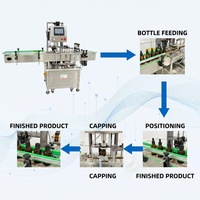 Machine de capsulage pneumatique de haute précision / Capsuleuse à vis à couple réglable