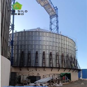 Silos de Acero Galvanizado de Alta Calidad con Fondo Cónico para Almacenamiento de Salvado de Arroz, Capacidad de 500T-1000T, Certificación ISO CE - Product Image 3