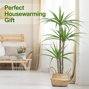 6 pies 180CM alto 3 <span class=keywords><strong>tronco</strong></span> 55 hojas hecho a mano falso gladiolo planta de <span class=keywords><strong>Agave</strong></span> Artificial para suelo interior granja Oficina regalo Decoración - Product Image 5