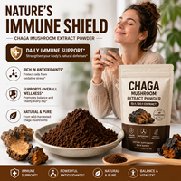 Extrait de champignon Chaga en poudre de haute pureté 10:1 20:1, double extraction, soluble dans l'eau, en vrac