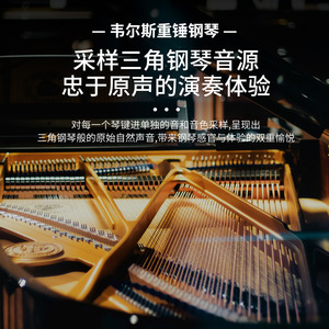 เปียโนดิจิตอล Wersi 88 คีย์ คีย์แบบถ่วงน้ำหนัก ขนาดเต็ม พกพาสะดวก - Product Image 3