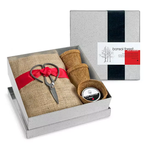 Dawn Red Wood Bonsai Forest Tree Starter Kit Original Design Bonsai Wire Set Plant Grow Pot Garden Home Bent Processing <span class=keywords><strong>Service</strong></span> - Product Image 2