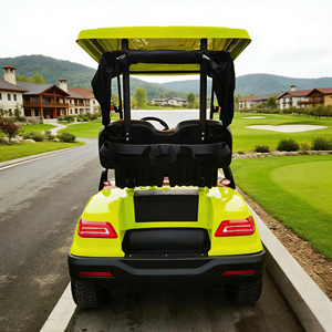 Golf Cart Personalizzato a 2 Posti per Country Club, Aeroporti e Turismo - Buggy da Golf a 2 Posti con Batteria al Litio, Senza Manutenzione, Lunga Autonomia - Product Image 4