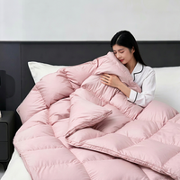 Couette d'été rafraîchissante en duvet de canard blanc pour hôtel de luxe, certifiée RDS, approvisionnement direct usine, échantillons personnalisables disponibles