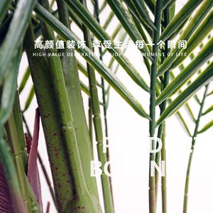 ต้นปาล์มมีหางเทียมป้องกันรังสี UV สำหรับใช้ในร่มต้นไม้เอเวอร์กรีนทนไฟ - Product Image 6