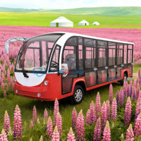 Vente directe d'usine, bus touristique de luxe à quatre roues, fermé, 17 places, bus touristique électrique