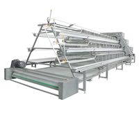 Cage en Batterie Automatique Galvanisée en Acier pour Poulets Pondeurs, Vente Chaude pour Bâtiments d'Élevage de Volaille