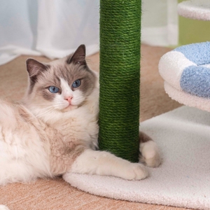 Commercio all'ingrosso della fabbrica albero di gatto spiaggia-a tema albero di cocco gatto condominio con Multi-livello posatoi e nido di gatto - Product Image 5