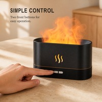 Diffuseur d'arômes portable avec effet de flamme, 2 modes de luminosité, pour salon, maison, bureau, spa, salle de sport