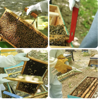 Gartenwerkzeug Automatisches Imkerei-Ausrüstungs-Starter-Kit Großhandel Imkerbedarf Inklusive Bienenköniginnen-Rauchgerät und Bürste Y