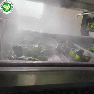 供应商批发优质有机出口IQF切片散装甜椒绿色红色黄色 - Product Image 5