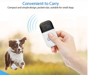 IPetDog Top Seller Gran Oferta Dispositivo antiladridos <span class=keywords><strong>Collar</strong></span> de choque antiladridos <span class=keywords><strong>Collar</strong></span> de perro para dejar de ladrar - Product Image 6