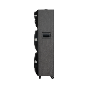 NDR-M1104 Enceinte de fête professionnelle en bois double 10 pouces pour DJ extérieur, karaoké, subwoofer à basses profondes avec micro sans fil - Product Image 5