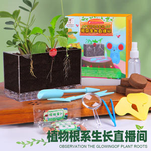 Kit d'expériences scientifiques, fenêtre d'observation des racines des plantes, jouet éducatif DIY pour enfants de 8 à 13 ans, matériau plastique - Product Image 1