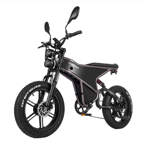 Bicicleta Eléctrica RANDRIDE DM711 de 20 Pulgadas con Doble Motor y Neumáticos Anchos para Todoterreno, Almacén en la UE - Product Image 1