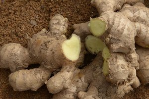 Bán cũng loại mới phát hiện của dư lượng thuốc trừ sâu miễn phí gừng nén nóng gừng tự nhiên - Product Image 5