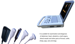 Veteriner Ultrason Probu Rektal 128 Elementli Renkli <span class=keywords><strong>Doppler</strong></span> Veteriner Ultrason Renkli Veteriner Ultrasonu - Product Image 4