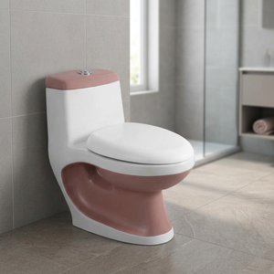 Gold Line Colored Bathroom Water Closet Porcelain Sanitary Ware New Design White Villa One Piece Toilet - Product Image 6