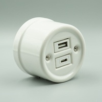 Meistverkaufte Retro-Stil Porzellan Doppel-USB A+Typ C Stromversorgung Wandsteckdose Ladeanschluss Typ A + C Ports