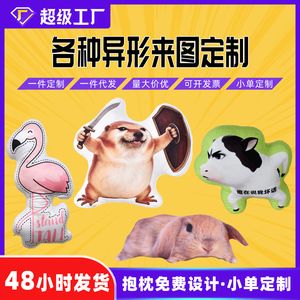 Coussin en peluche personnalisé Baihuase, forme d'animal de dessin animé, rembourrage en coton PP, coussin de canapé de voiture, jouet cadeau - Product Image 5