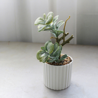 Fleurs artificielles en plastique, ornements créatifs, plantes succulentes en pot, décoration de la maison, accessoires de photographie, verdure artificielle, plantes à feuilles persistantes