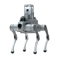 Perro Robot Serie C1, Perro Robot Biónico Inteligente con Android para Entretenimiento, Pantalla AMOLED Metálica para Niños, Control Remoto por Aplicación, Wi-Fi