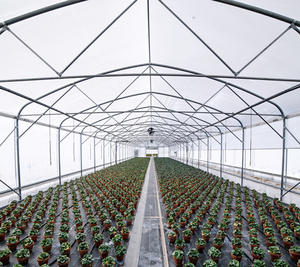 Serre de jardin populaire en polycarbonate avec structure en aluminium pour fleurs et semis - Product Image 4